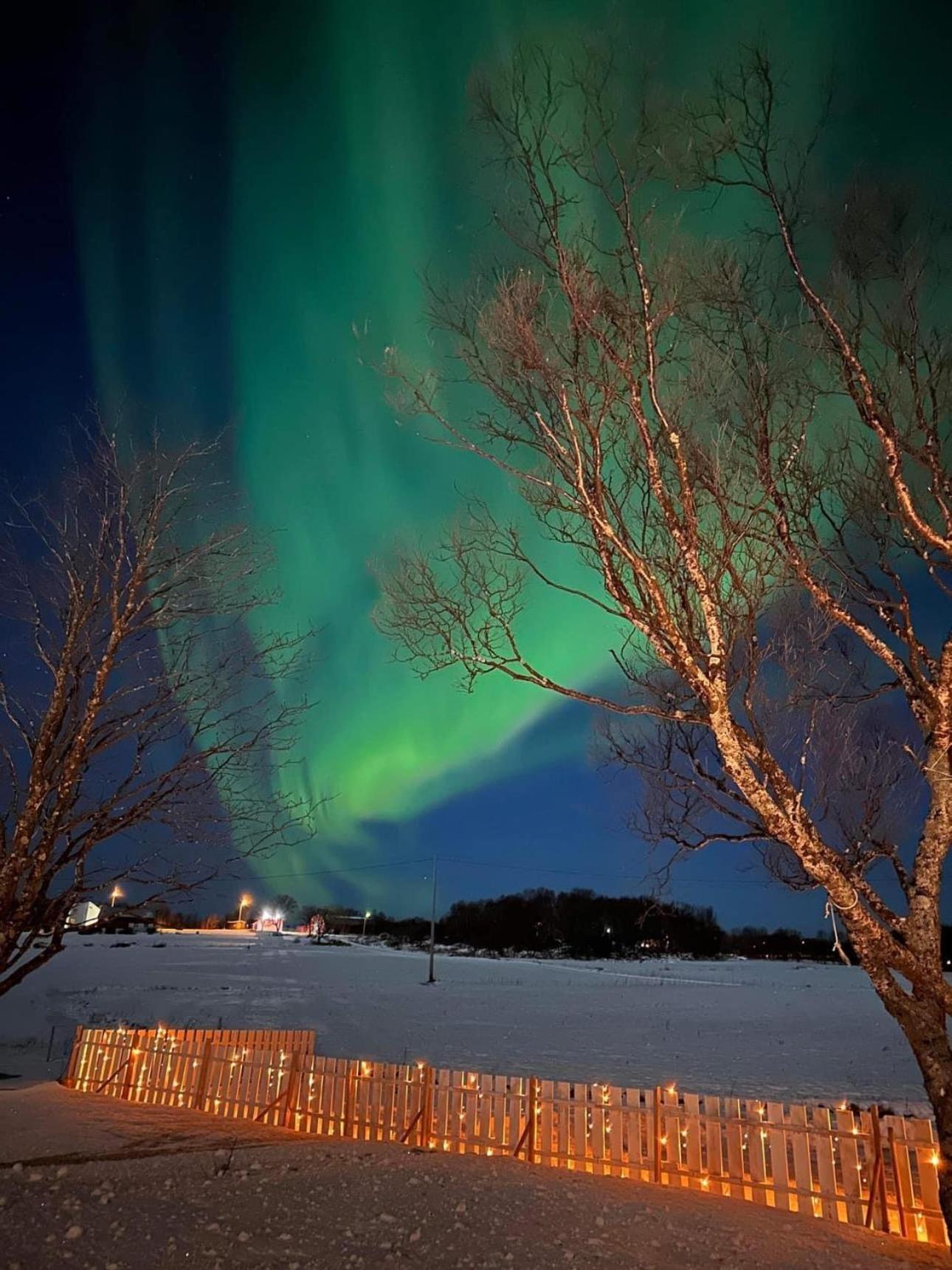 Midnattsolveien 3158,Sommarhusstrand Laukvik Exteriör bild